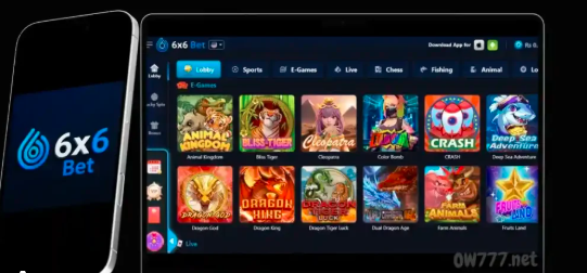 6x6 bet game