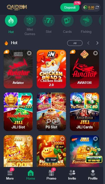 Qaidi804 Game