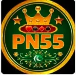 pn55 game