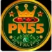 pn55 game