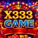 x333