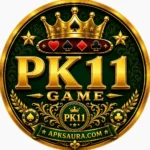pk11 game